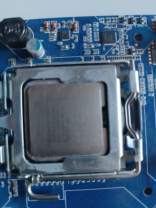 Срочно Продам мамки