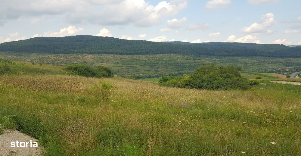 Teren intravilan 1000 mp, cu PUZ, zona platoului Radaia