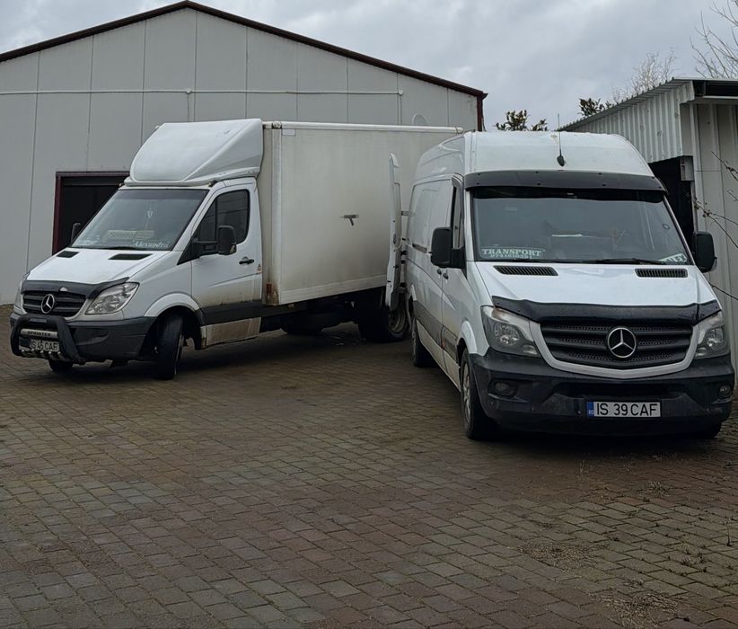 Transport Marfa , Mutari mobila , Debarasari 0741•610 •381