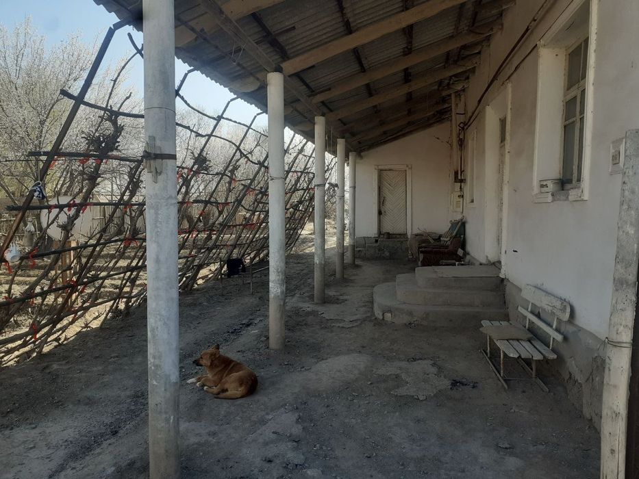 СРОЧНО!!! Нокис район центрында жай сатылады.