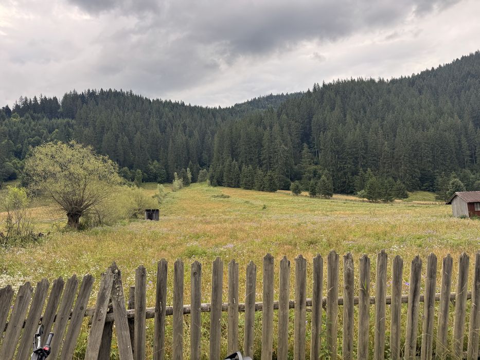 Teren de vânzare.