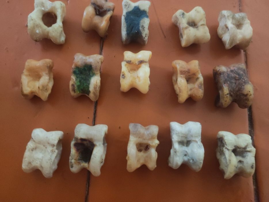 Асық ұлттық ойын Асық Asik асык