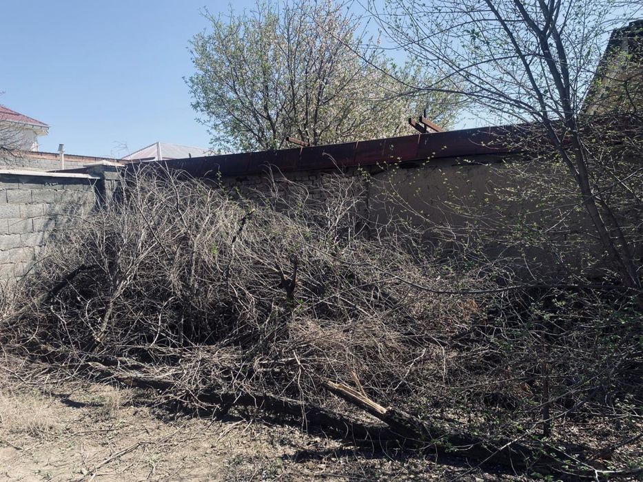 Тегін отын алып кетем деген адамға