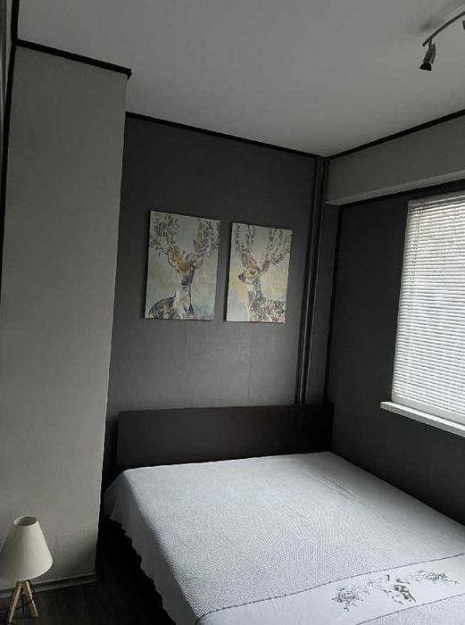 Дава се под наем Двустаен апартамент в София, Зона Б-18 - 56 кв.м за 510 € - Снимка #4