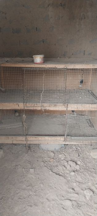 Домик для цыпленки