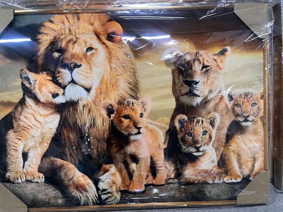 Качественные,красивые картины 50/70