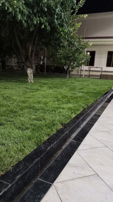 Gazon Mikrikilimit setka hizmat bor