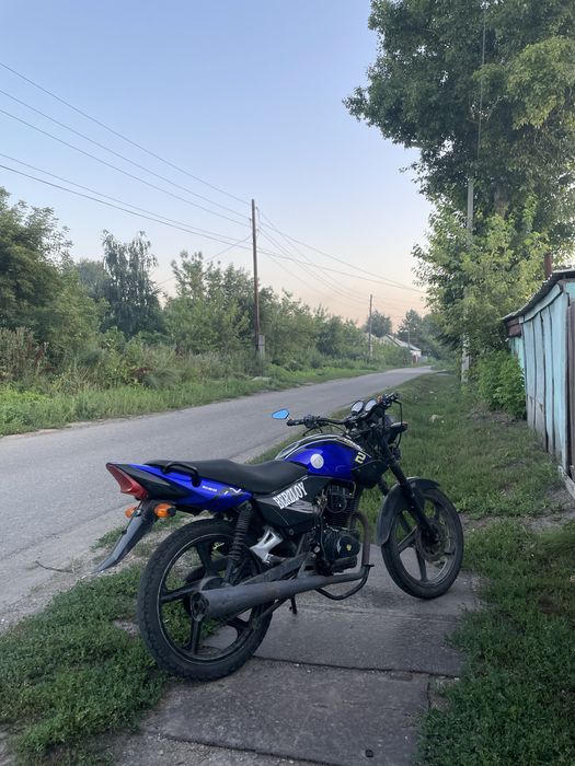 рейсер тигр 150 кубов на полном ходу