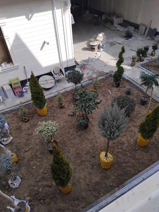 Gazon ekish archa kesish dorlash xizmati