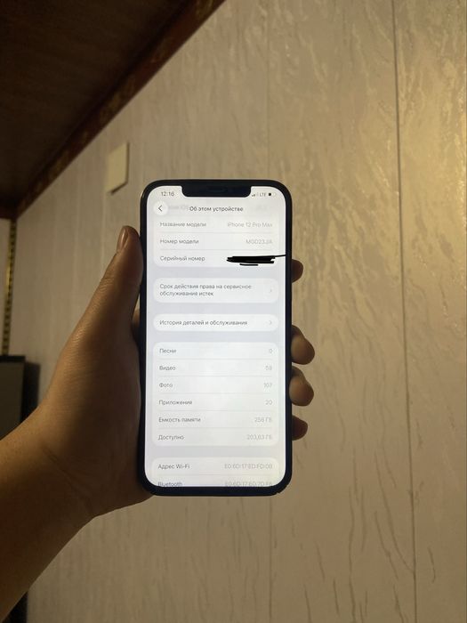 Iphone 12 Pro Max 256