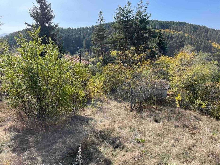 Продава се Парцел в с. Широки дол, Област София-област - 1403 кв.м за 19 €/кв.м - Снимка #4