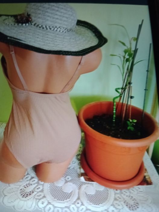 Costume de baie dama noi, palarie, rochii , pijama  de calduri