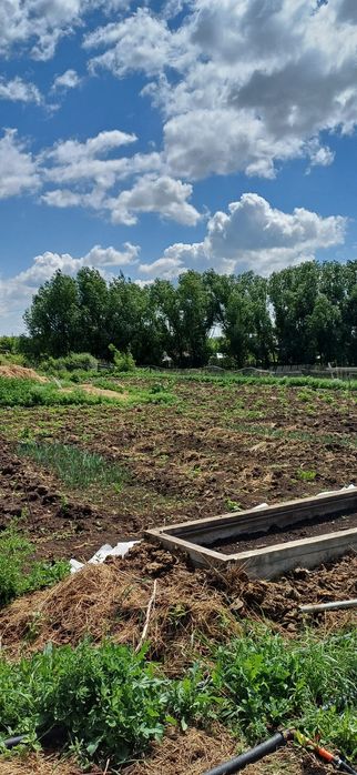 Продам дом в Пригородном