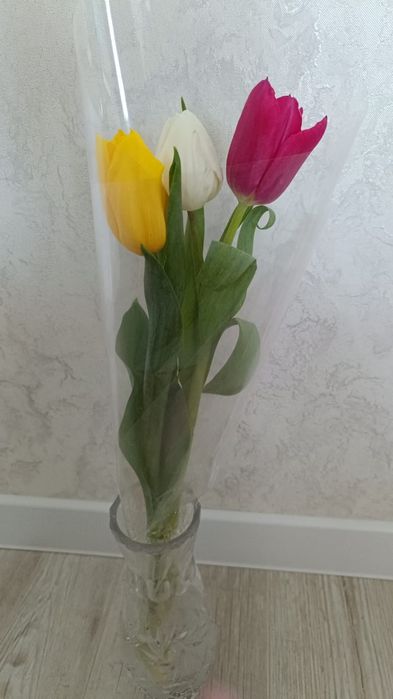 Продаются свежие цветы