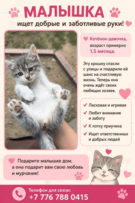 Котята  девочки срочно ищут дом!