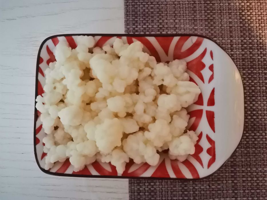 КЕФИРНИ  зърна. Кефир  за направа на напитка. Тибетски кефир