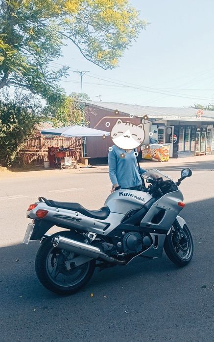 Kawasaki ZZR 600