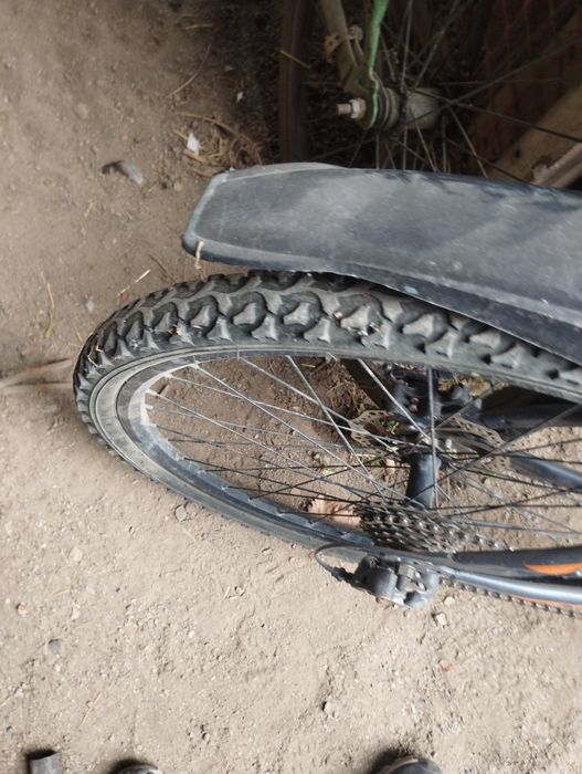 Велик хороший срочно