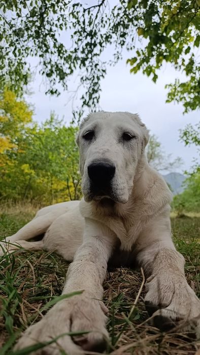 Девочка 2 месяца