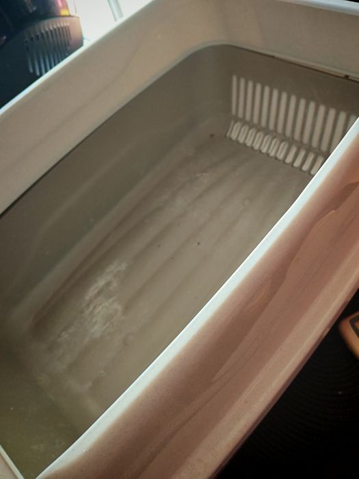 Котешка тоалетна