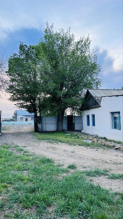 Сдается дом в аренду, квартира