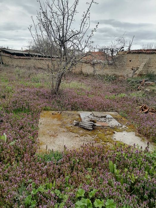 Продава се Парцел в Хисаря - 700 кв.м за 16 €/кв.м - Снимка #2