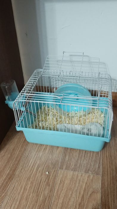 Хомяк с клеткой самка