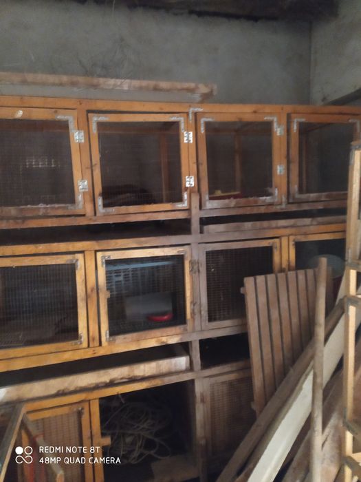 Куйон сетка товук сетка