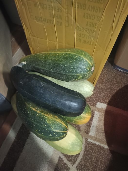 Продам кабачки с огорода.