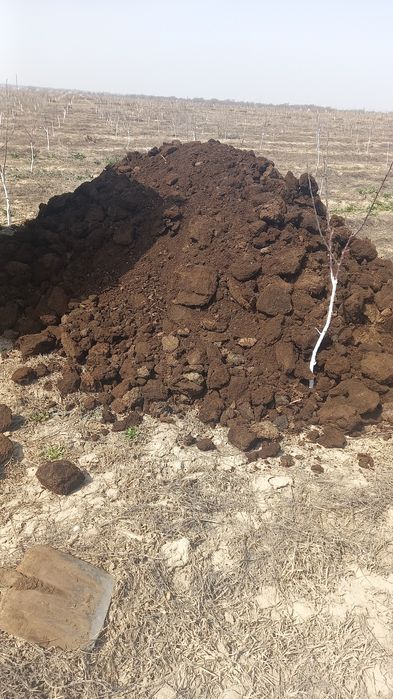 ПЕРЕГНОЙ навоз ЧЕРНОЗЕМ удобрения