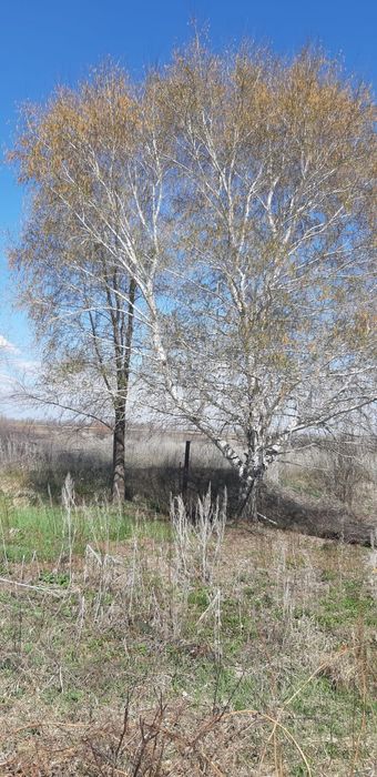 Продам дачу 6 соток