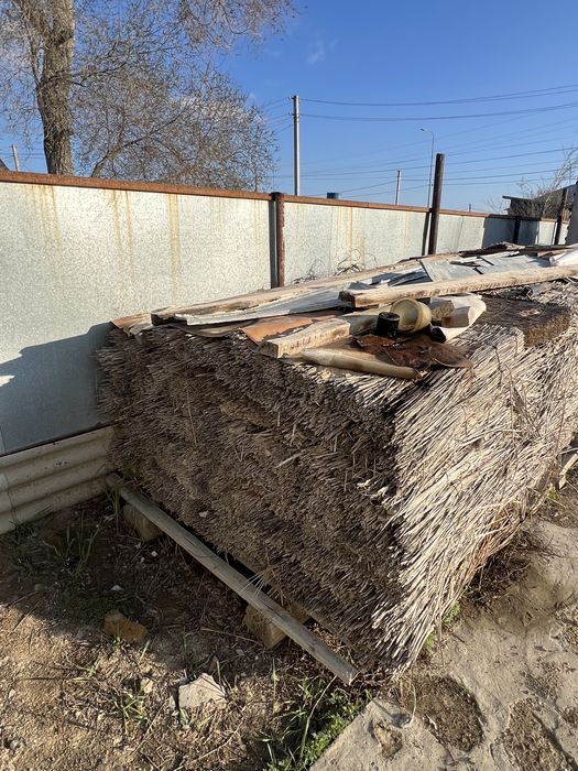 Камыши (қамыстар)