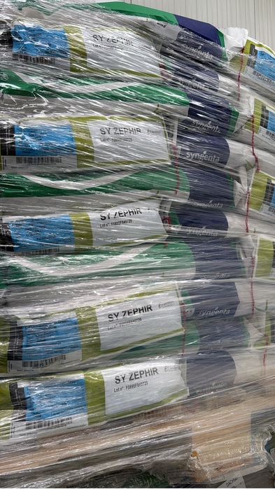 Seminte Porumb si Floare