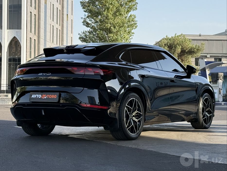 BYD Song L Beyond 2024 год