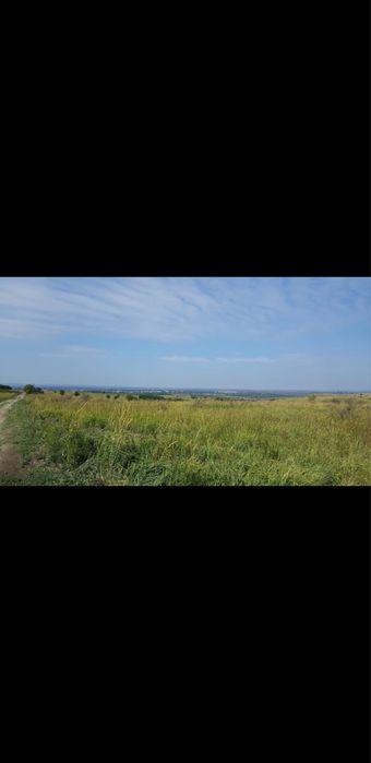 Teren extravilan, Lugoj Dealul Viilor 3,6hectare