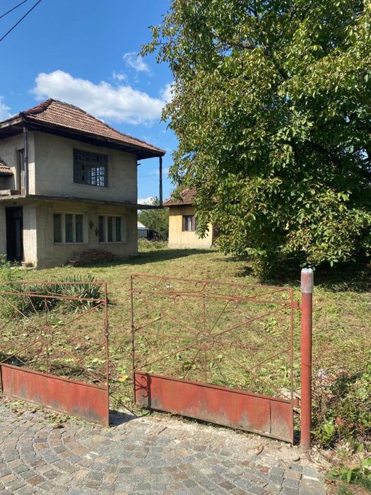 Servicii de defrișat, curățat, cosit, tuns și nu numai