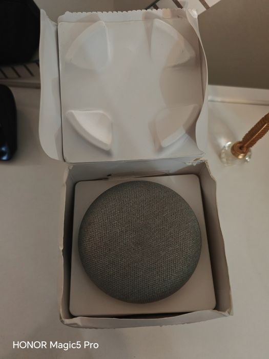 Google Home mini
