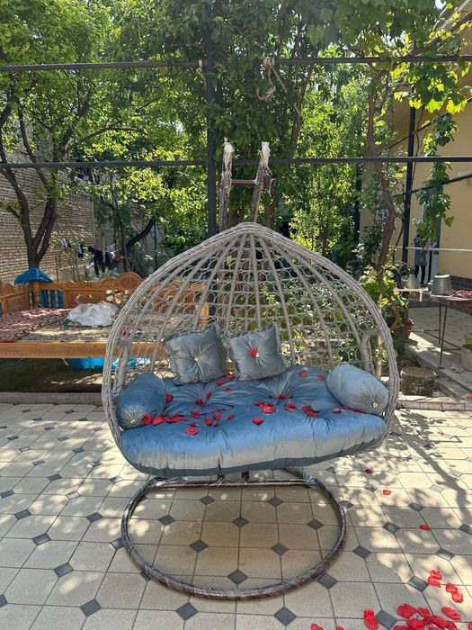 Ratan kachela olami eng arzonarxlar