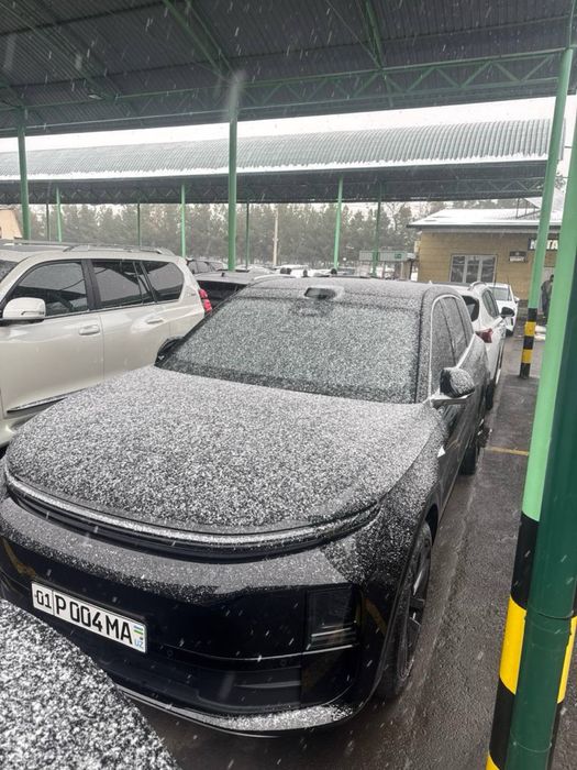 Li 6 max 2024 кора