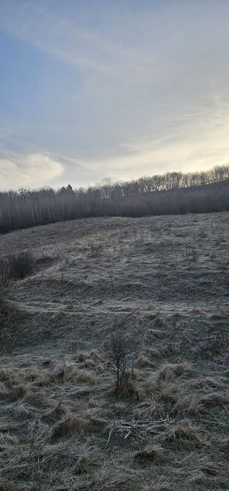 Vand teren intravilan /livada 4976m Valea Sasului
