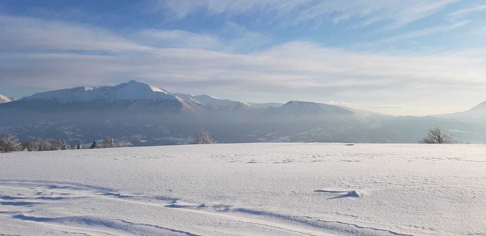 Vand teren 47.8 HA intravilan + extravilan Moisei/Viseu