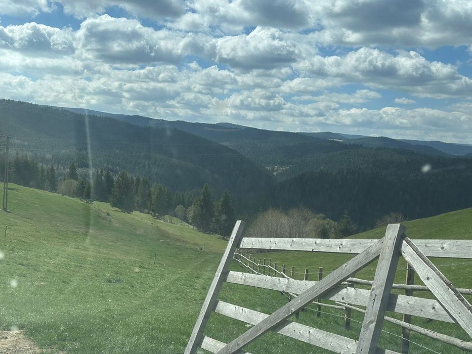 Teren la munte 4717m.p 30000 de euro