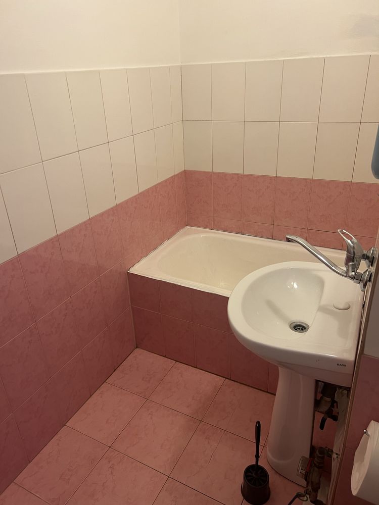 Apartament Cu O Camera De Inchiriat Timisoara • OLX.ro