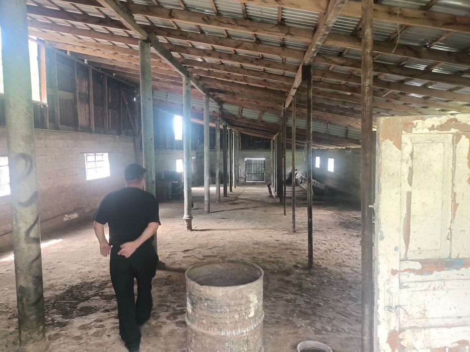 К.х 125 соток. Дом и ферма 30 на 10 для КРС