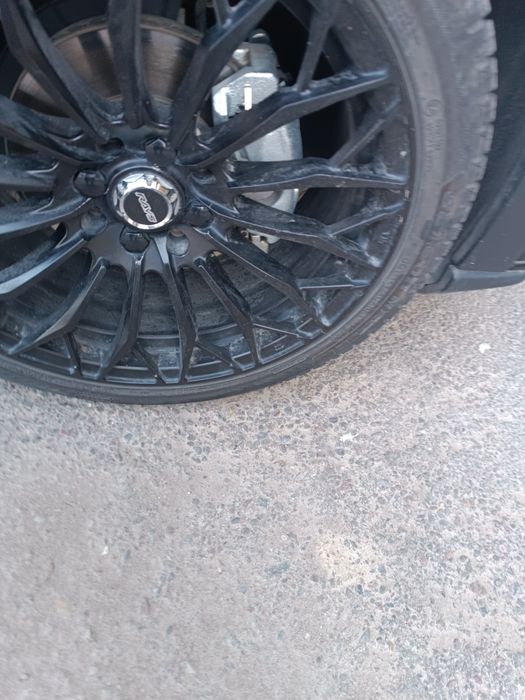 17 diska archa balonlari bn