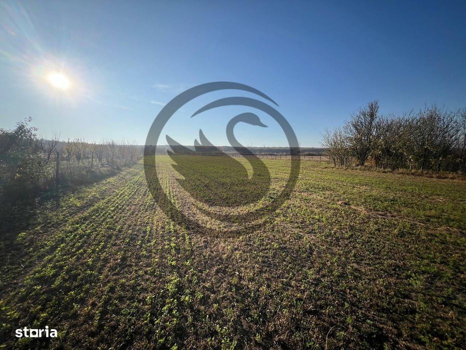 Teren intravilan de vanzare | 12.650 mp | Ghirdoveni, | Comision 0%