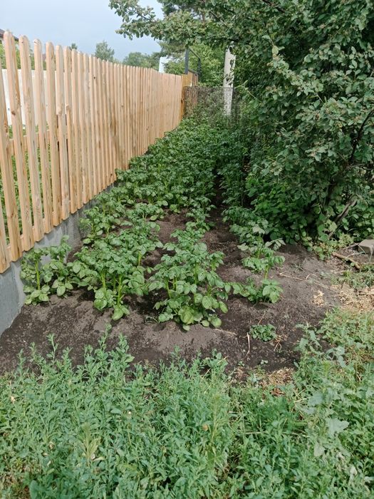 Продам дачу, с/о Эврика