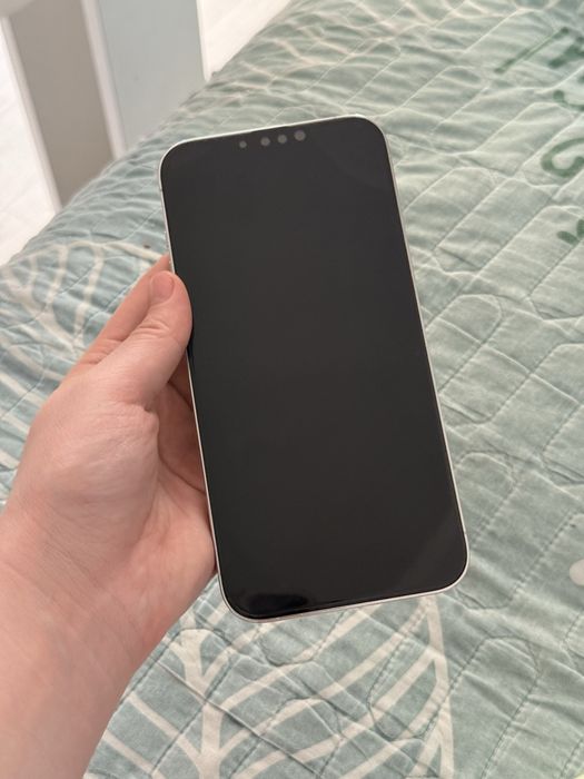 Iphone 13 pro max 256 gb