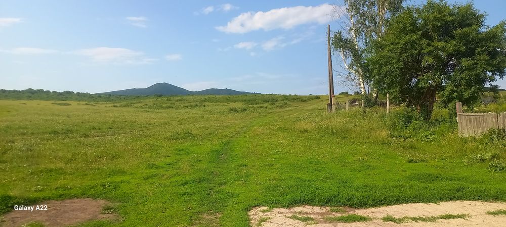 Уй сатылады бобровка ауылы
