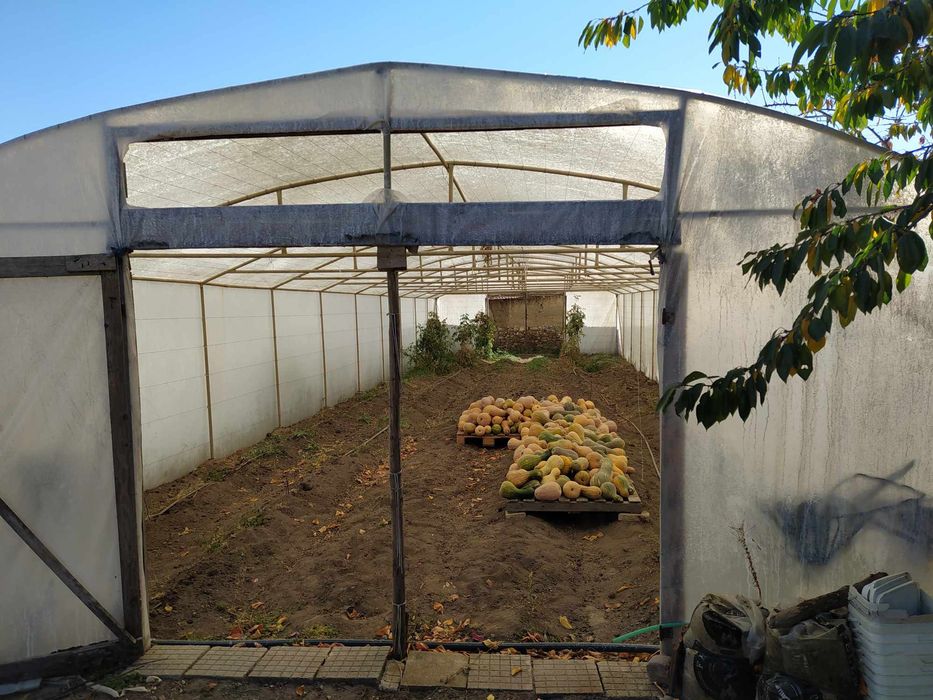 Оранжерии, 2 броя